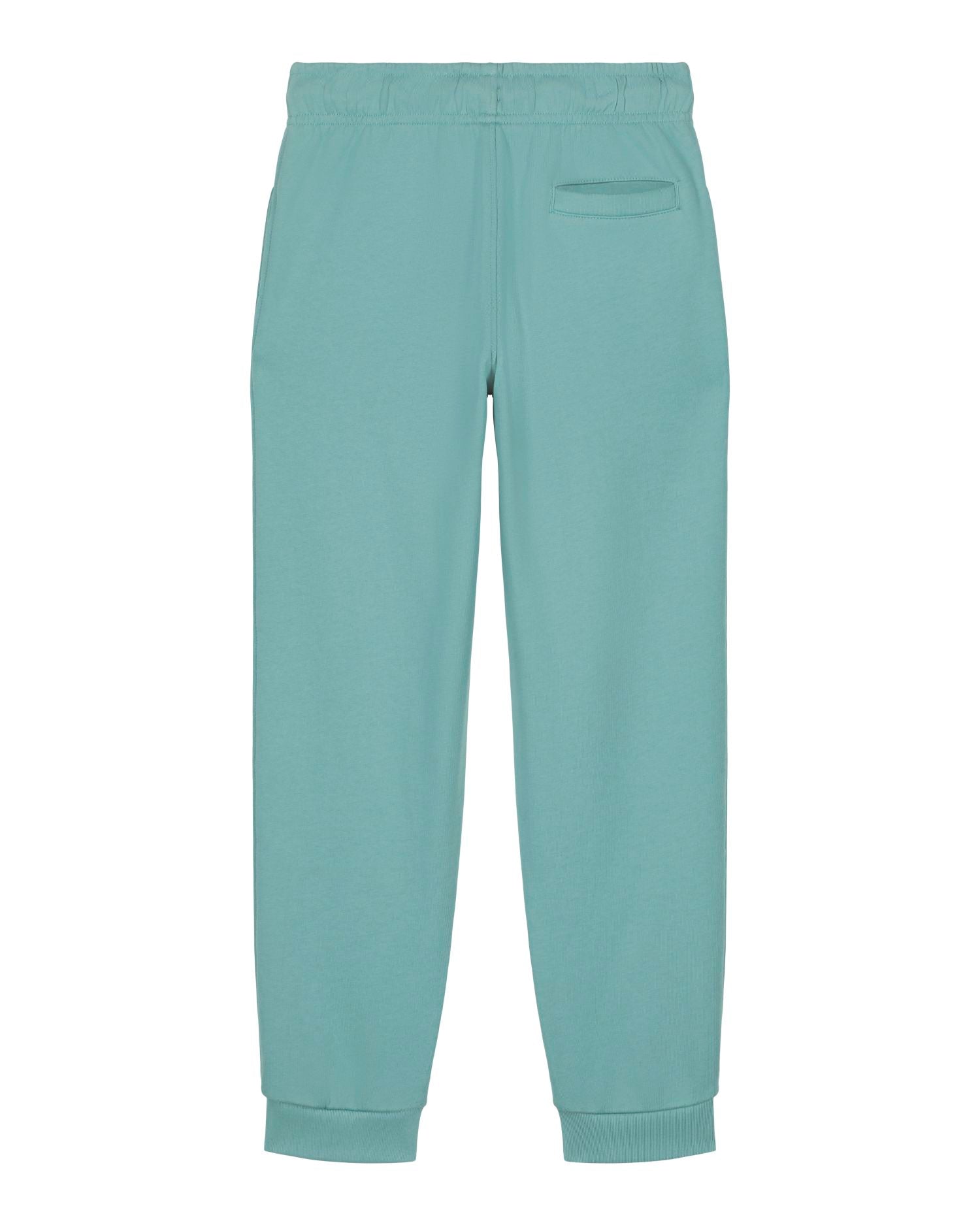 #Farbe_Teal Monstera - C060