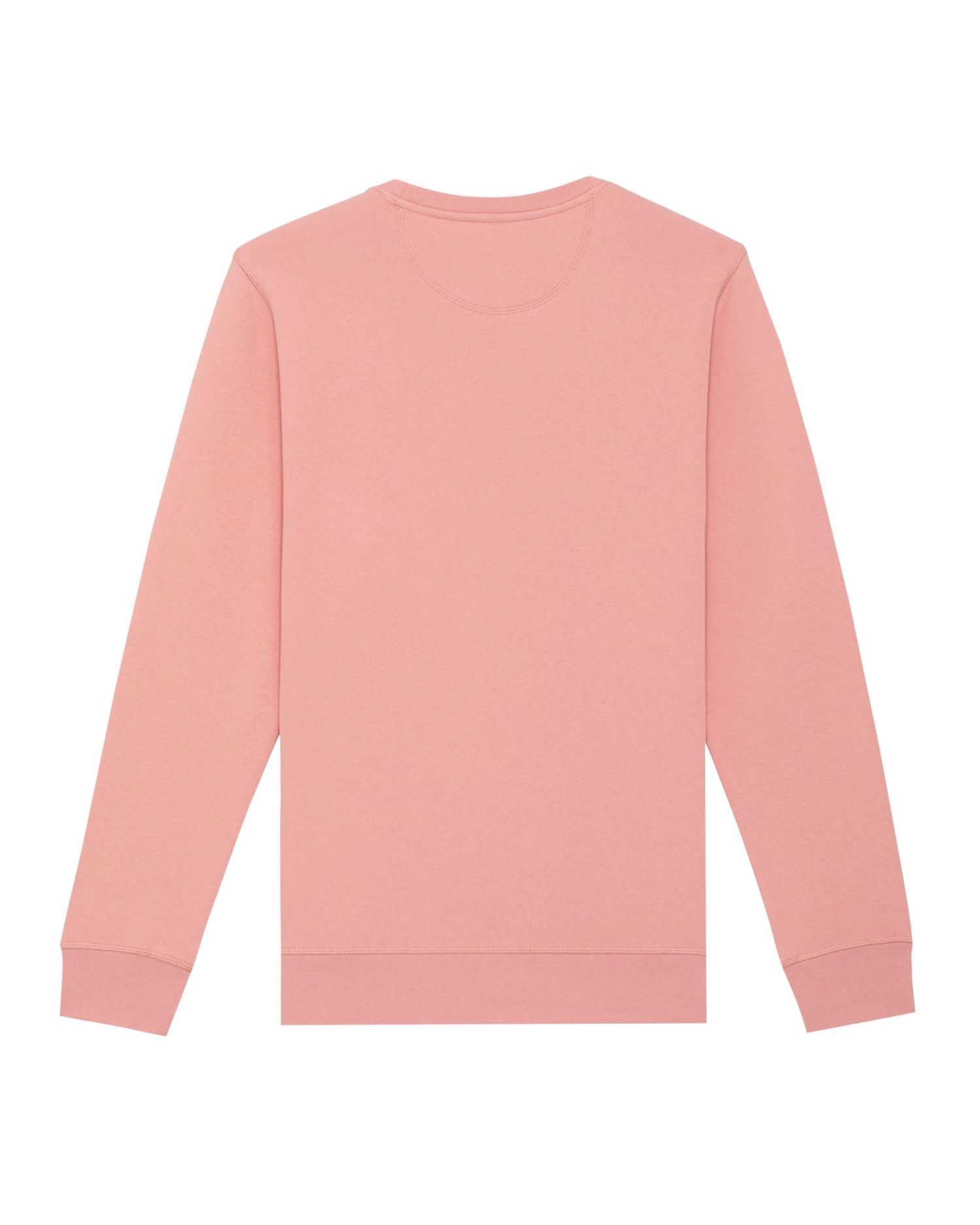 #Farbe_Canyon Pink - C038