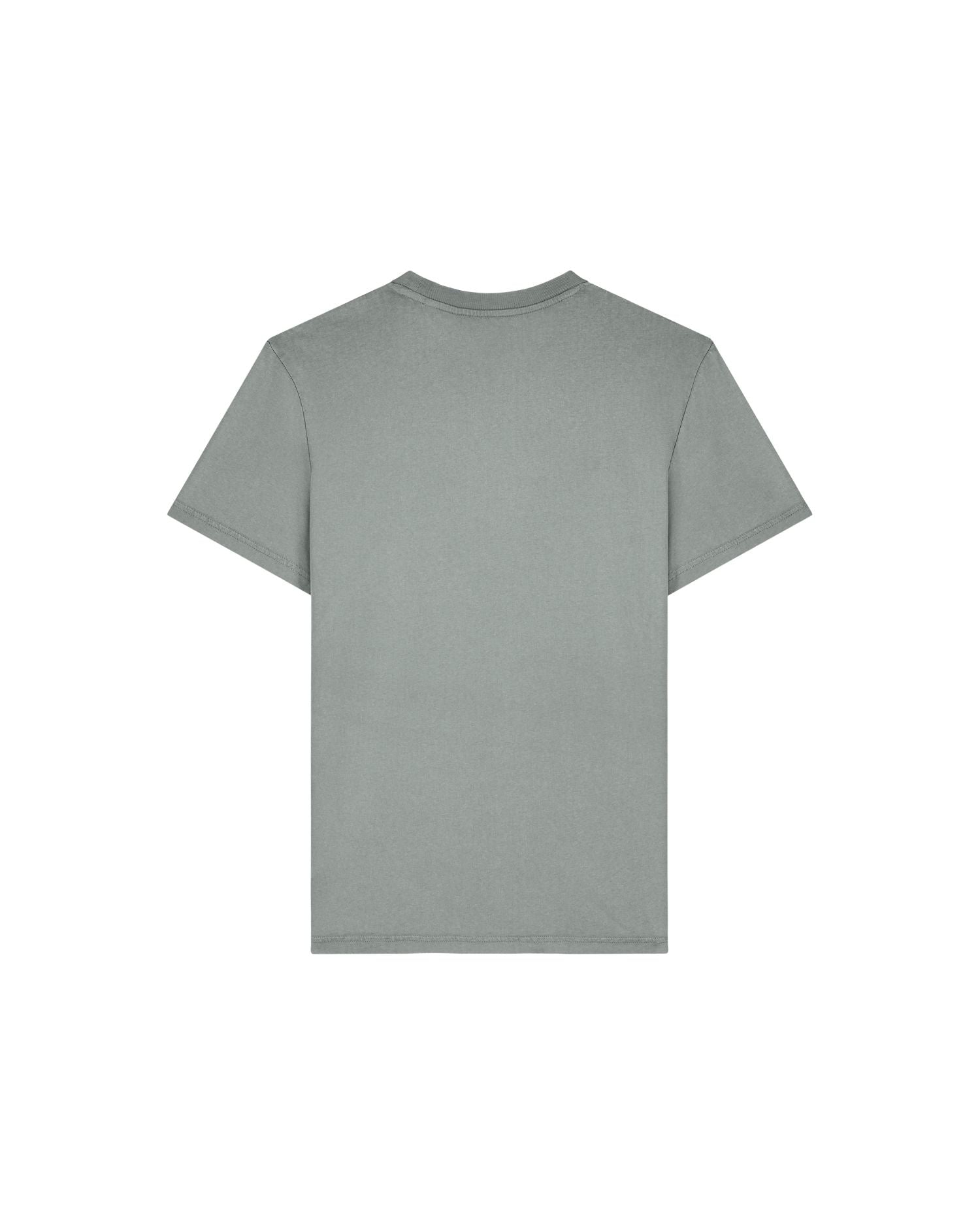 #Farbe_G. Dyed Misty Grey - C157