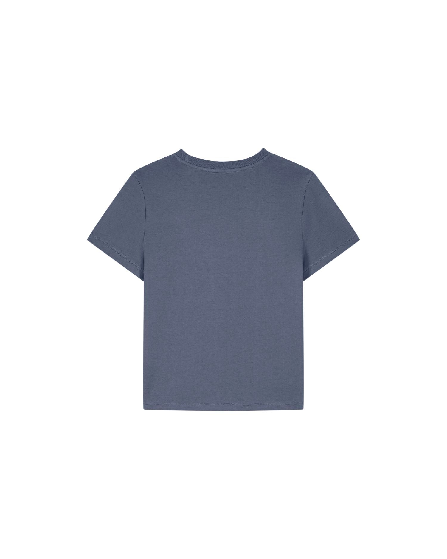 #Farbe_Blue Grey - C156