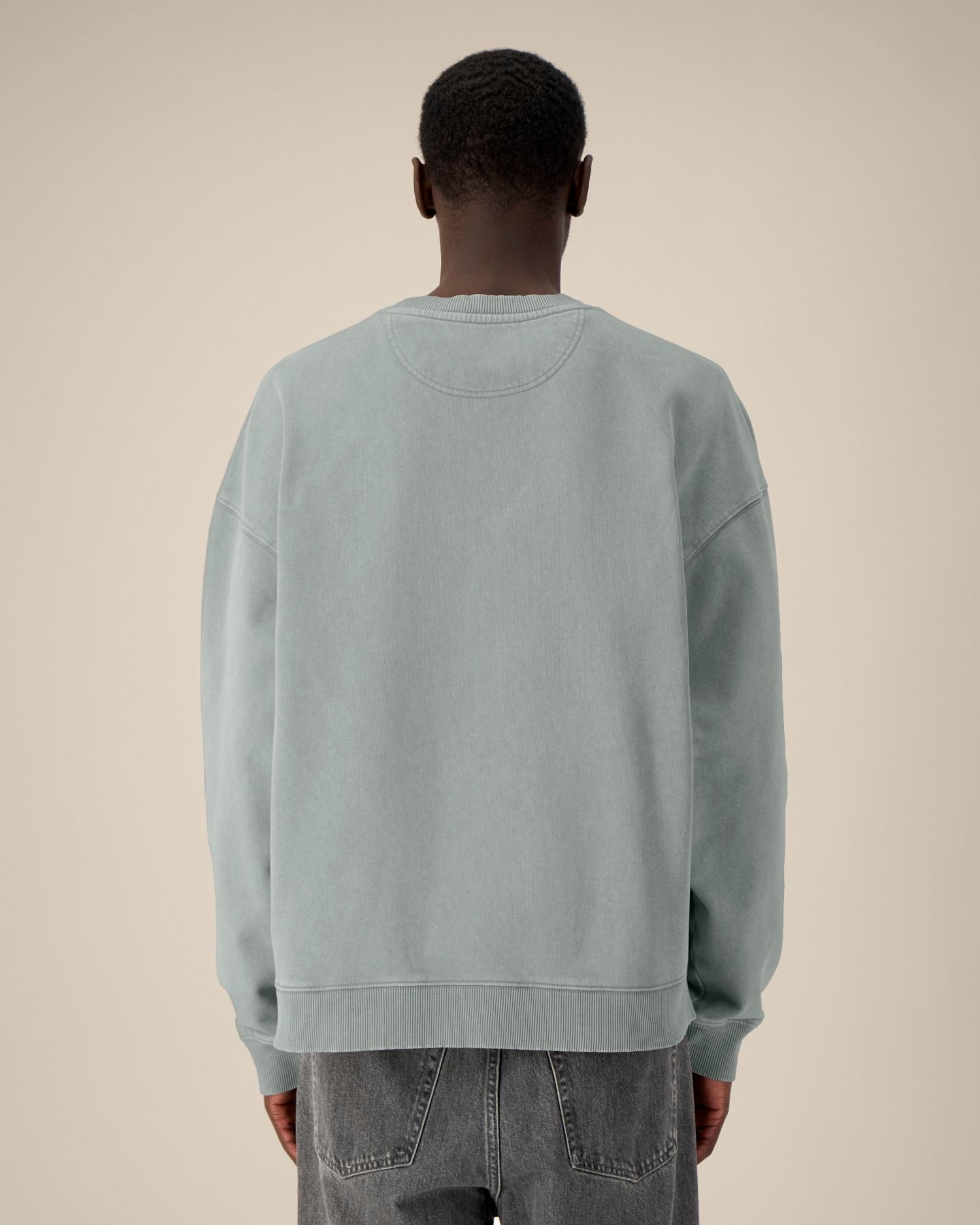 #Farbe_G. Dyed Misty Grey - C157