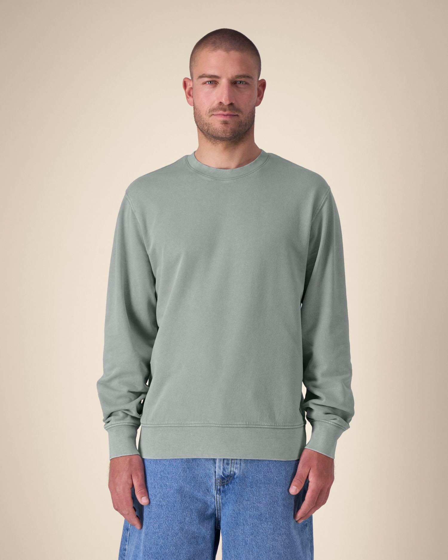 #Farbe_G. Dyed Misty Grey - C157