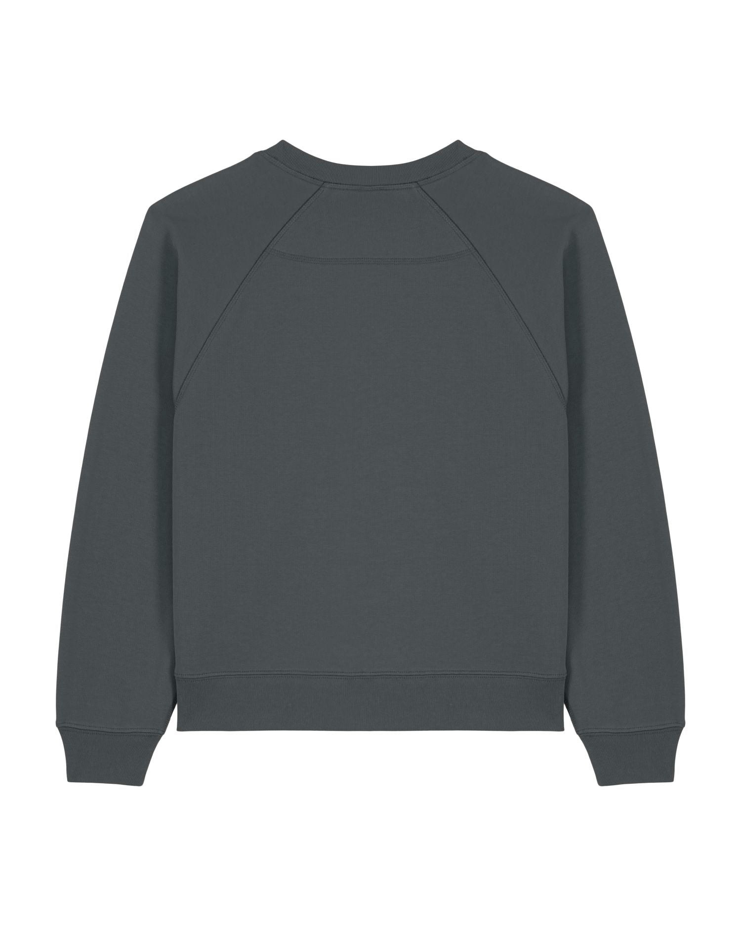 #Farbe_Anthracite - C253