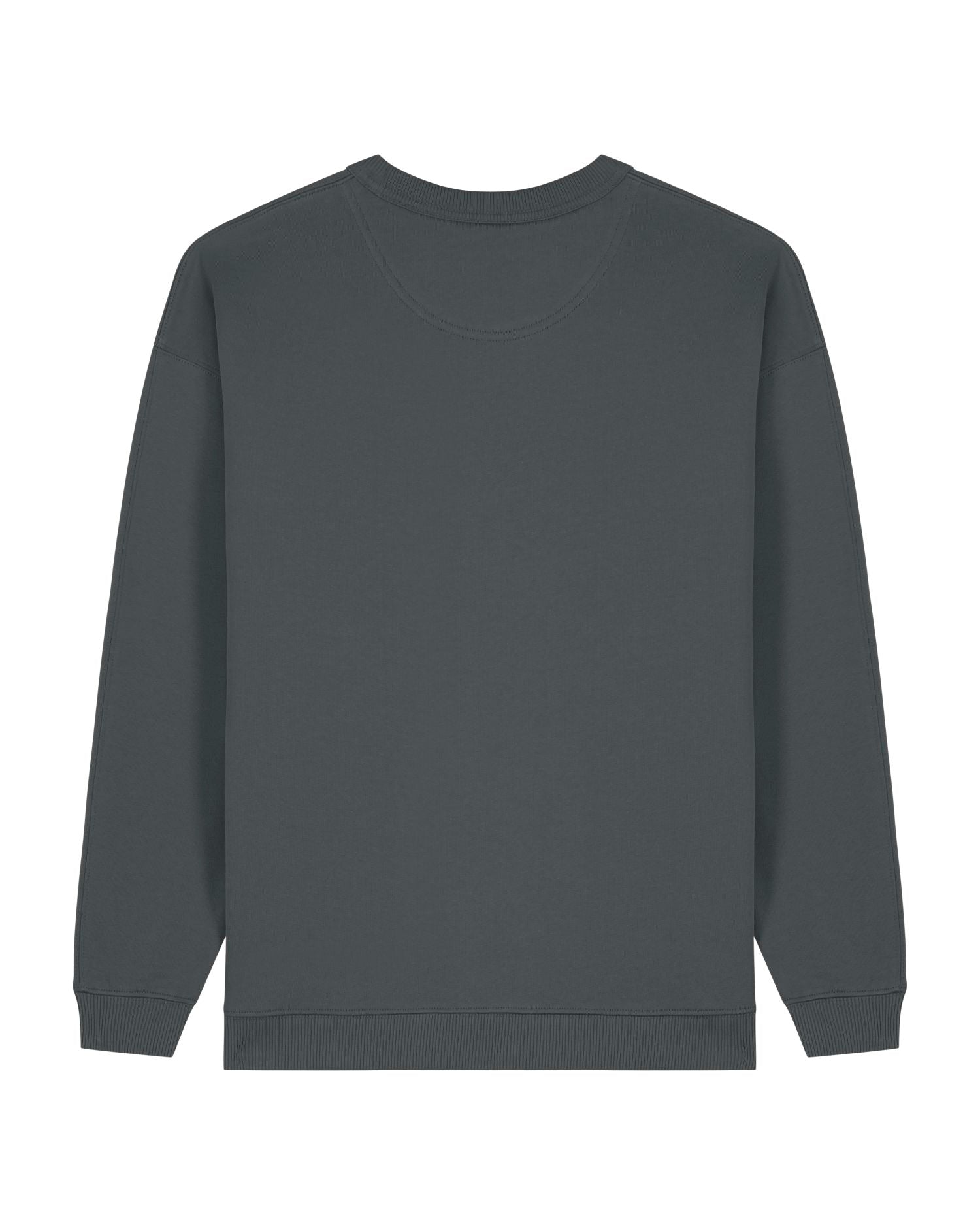 #Farbe_Anthracite - C253