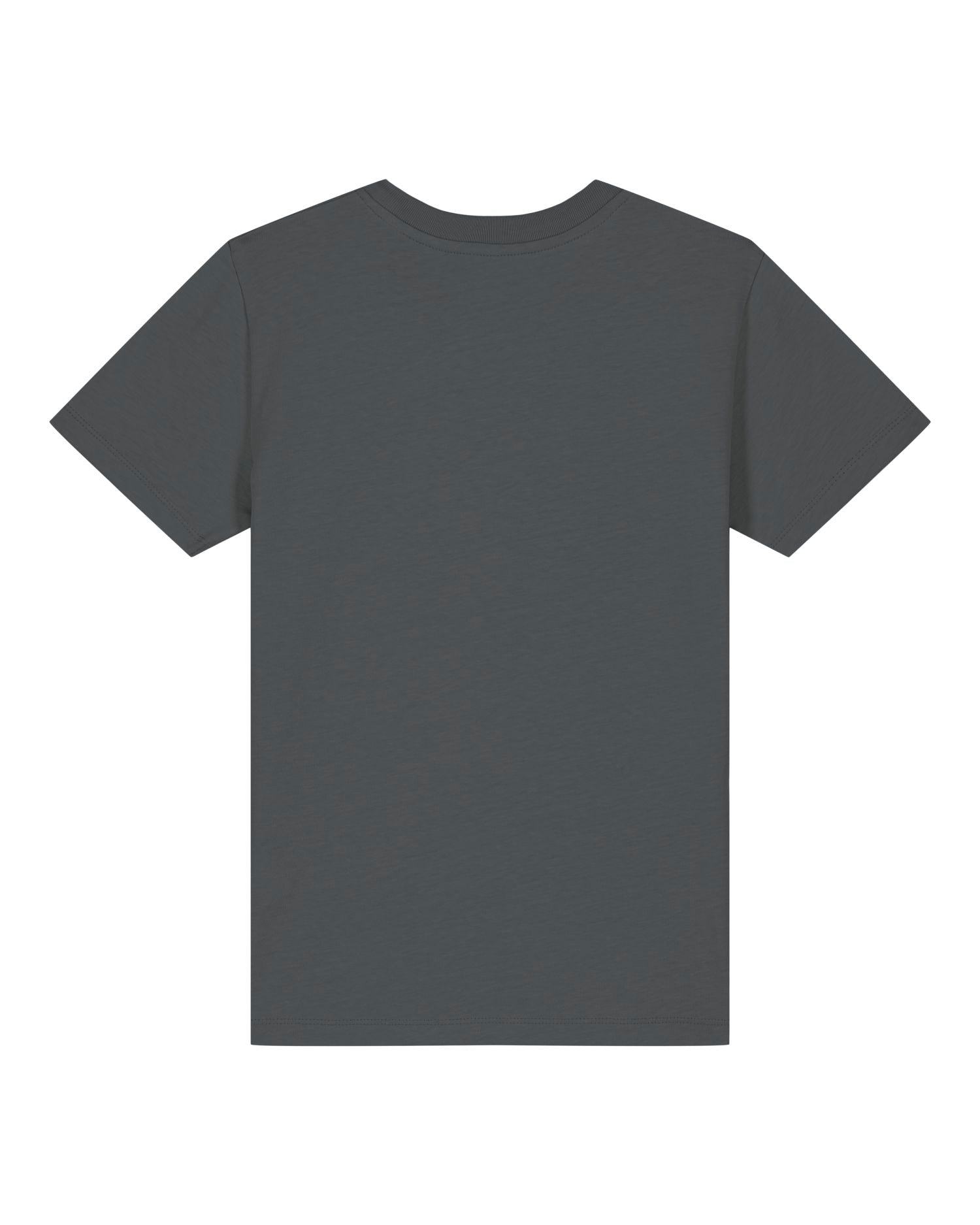 #Farbe_Anthracite - C253