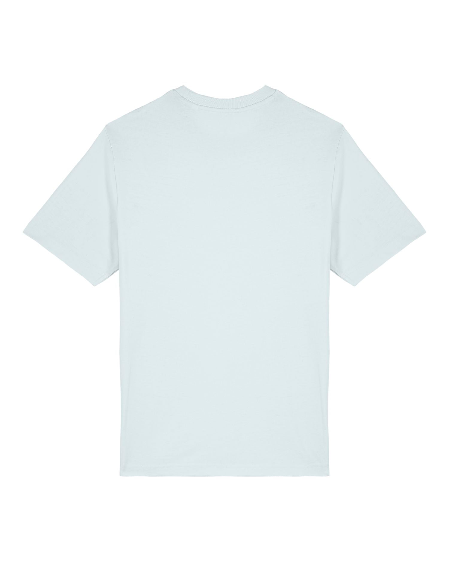 #Farbe_Blue Ice - C728