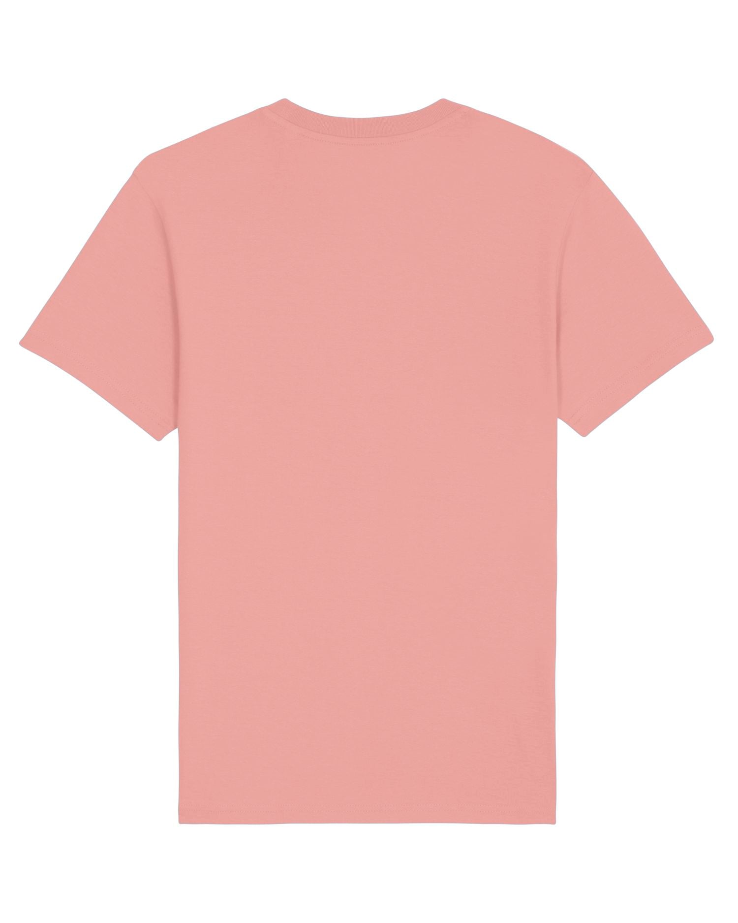 #Farbe_Canyon Pink - C038