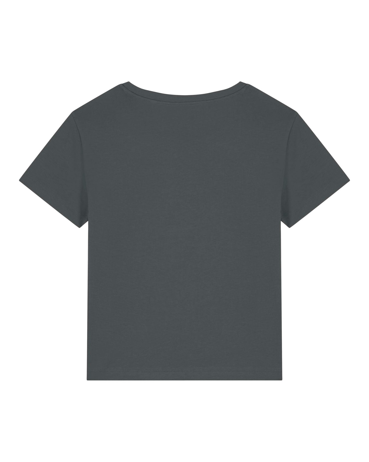 #Farbe_Anthracite - C253