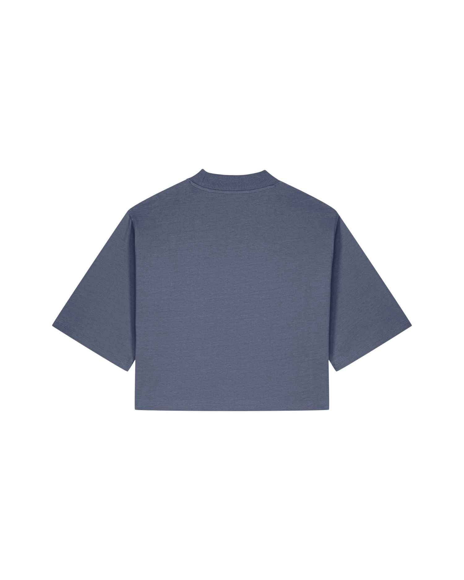 #Farbe_Blue Grey - C156