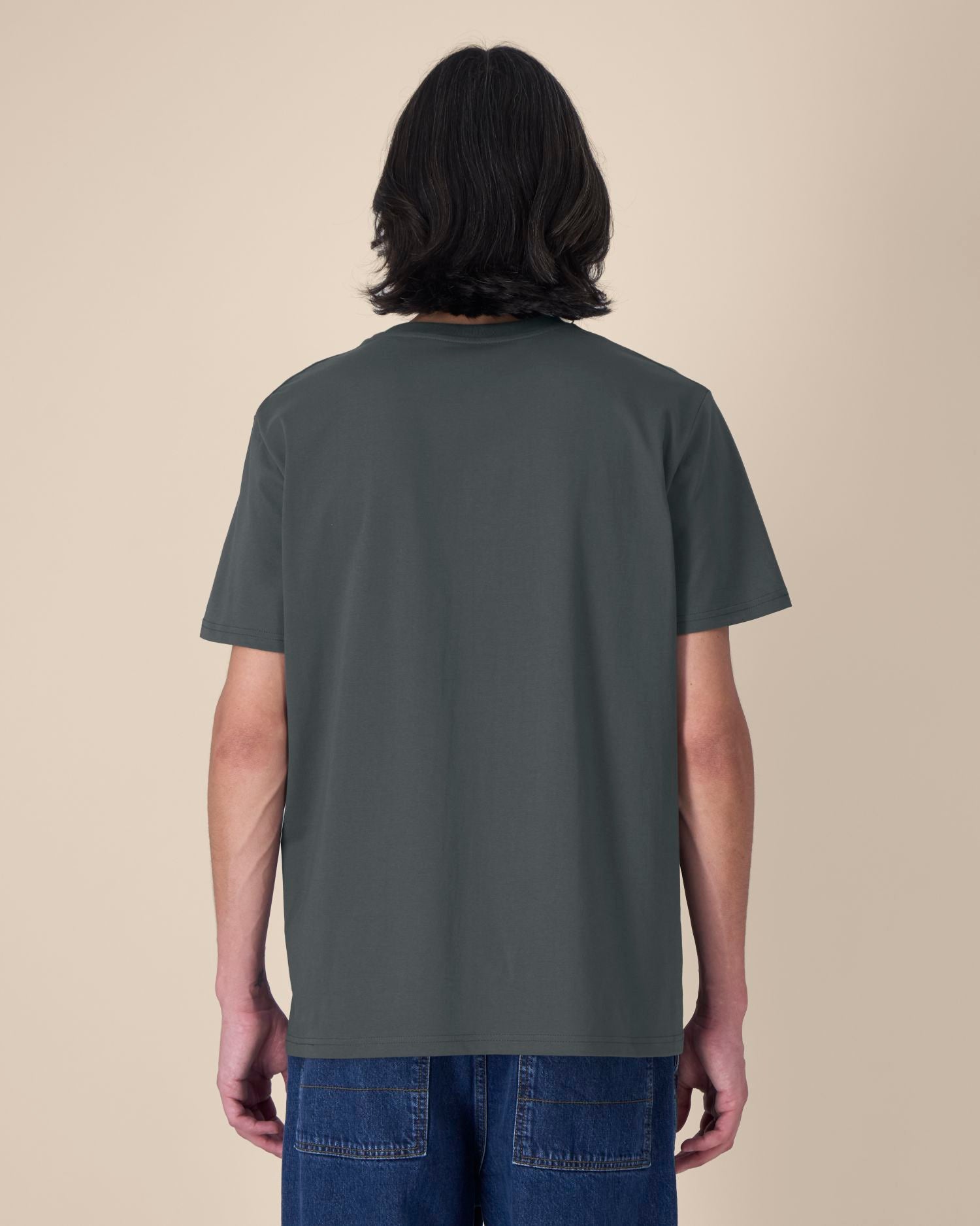 #Farbe_Anthracite - C253