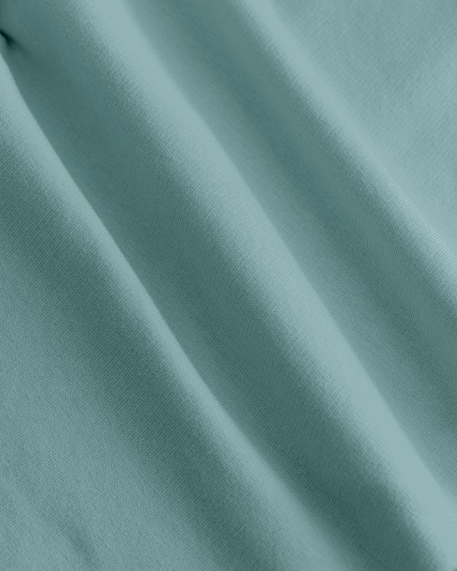 #Farbe_Teal Monstera - C060